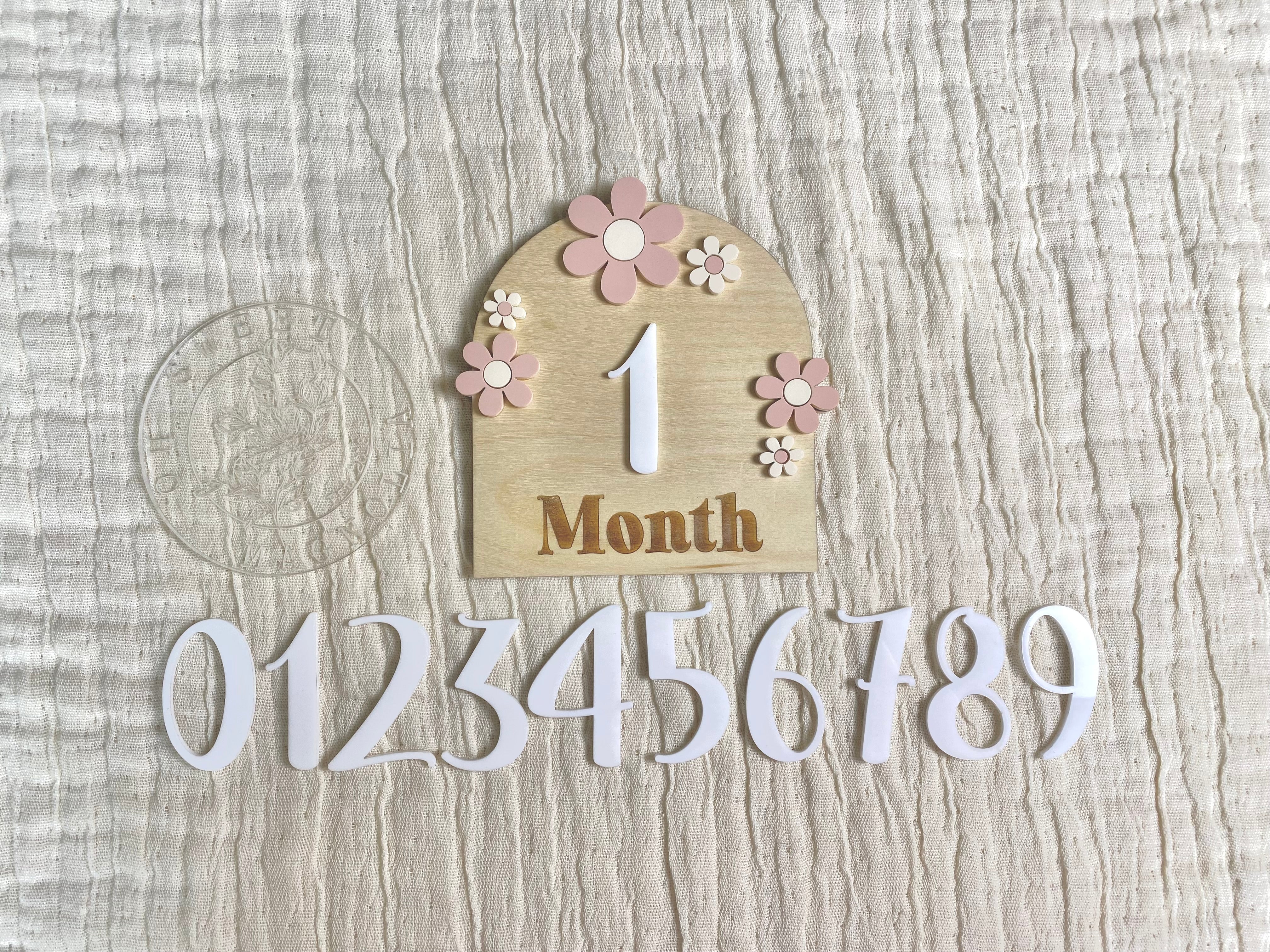 Daisy Arch Milestone + Photo Prop