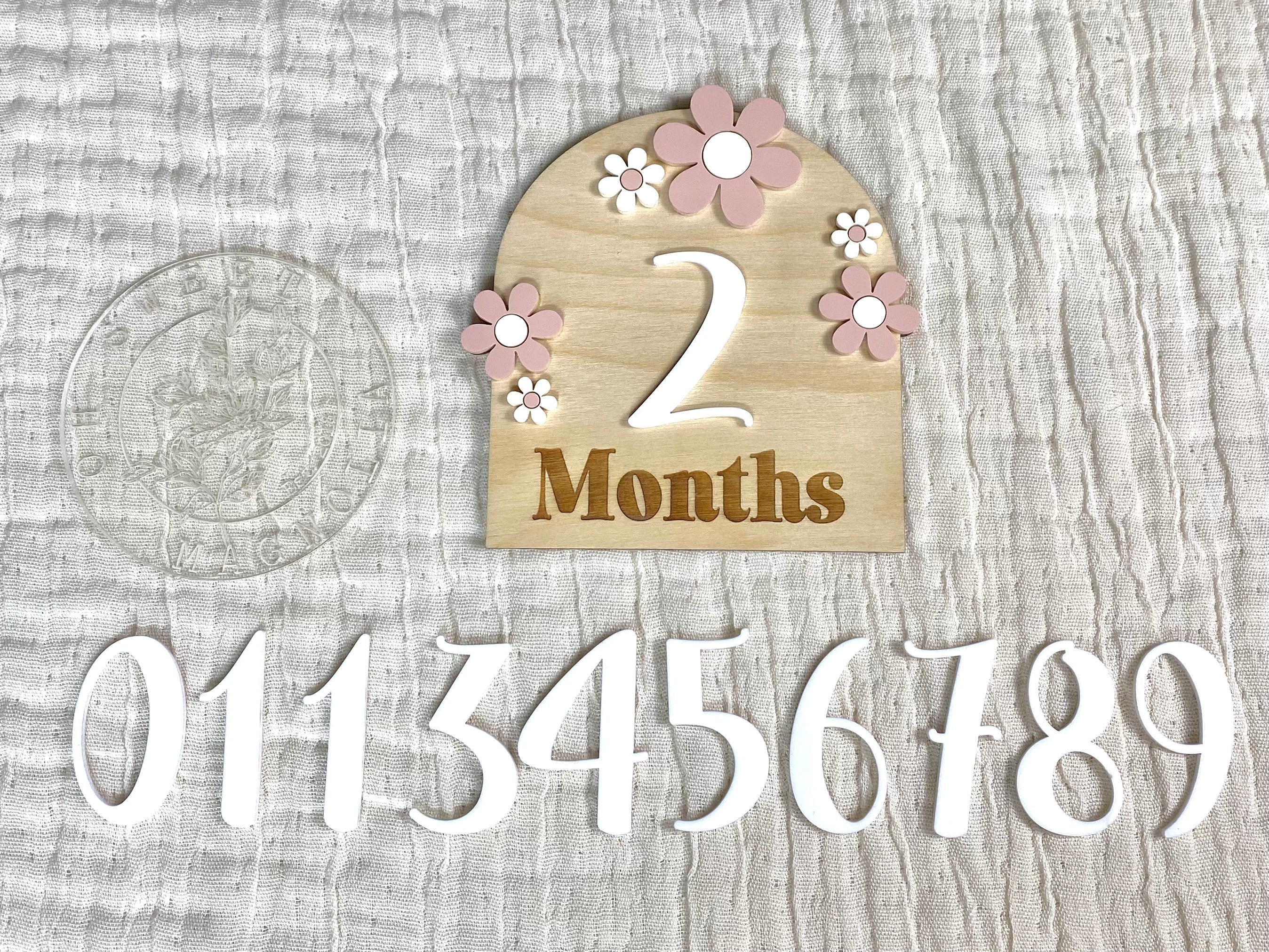 Daisy Arch Milestone + Photo Prop