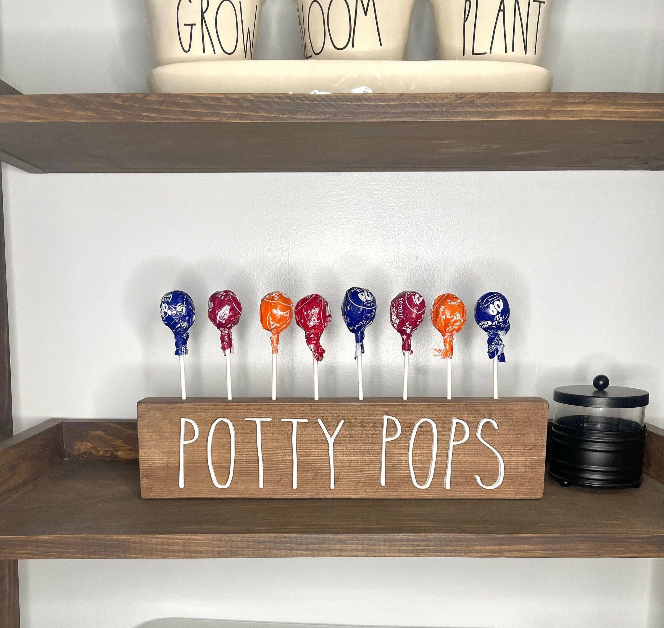 Potty Pops Holder + Potty Training