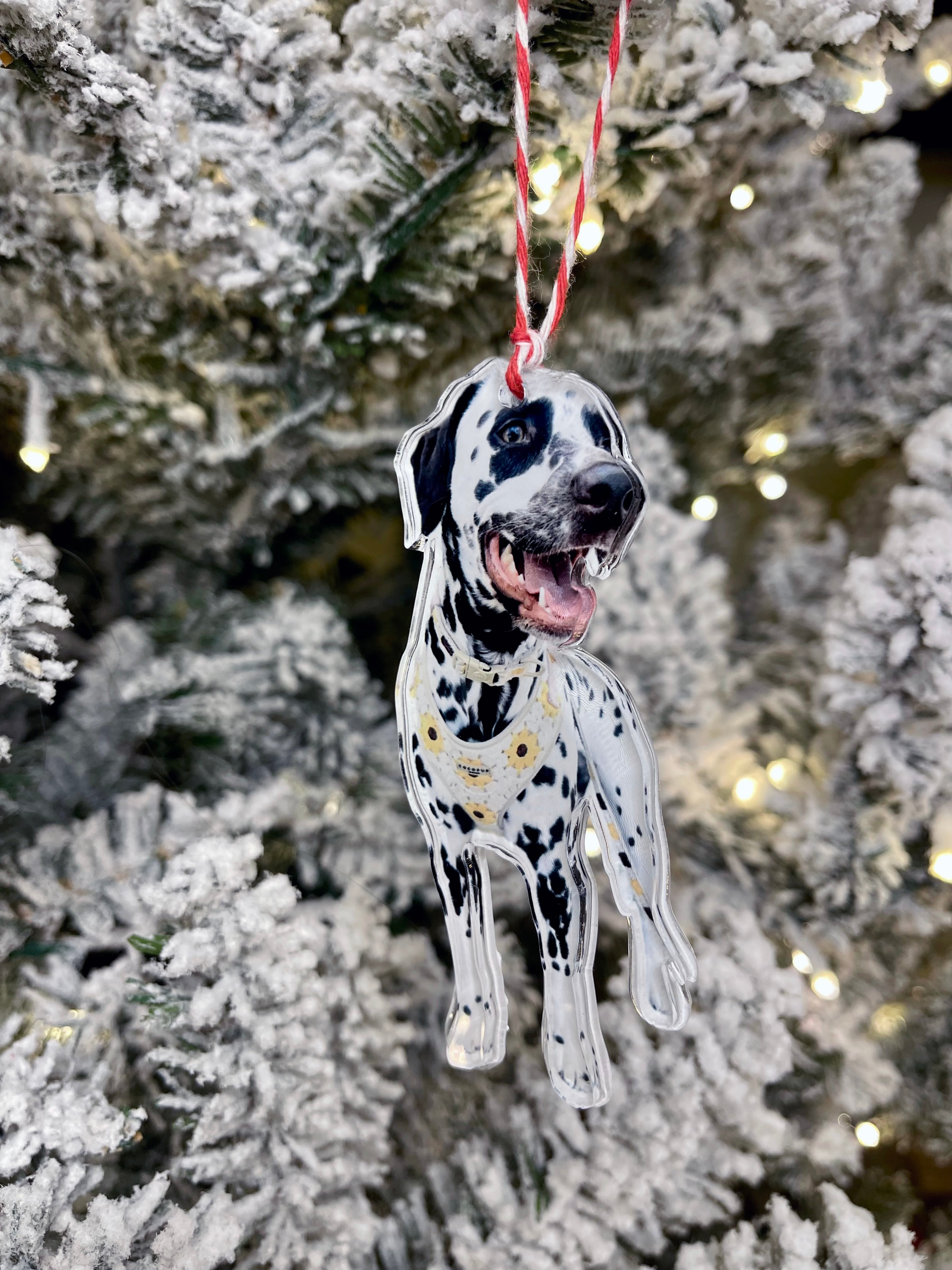 Custom Photo Ornament, Pet Ornament, Family Ornament